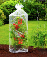 Maximex Tomaten Schutzhauben Reifehaube Tomatenreifung Garten 2-er Set
