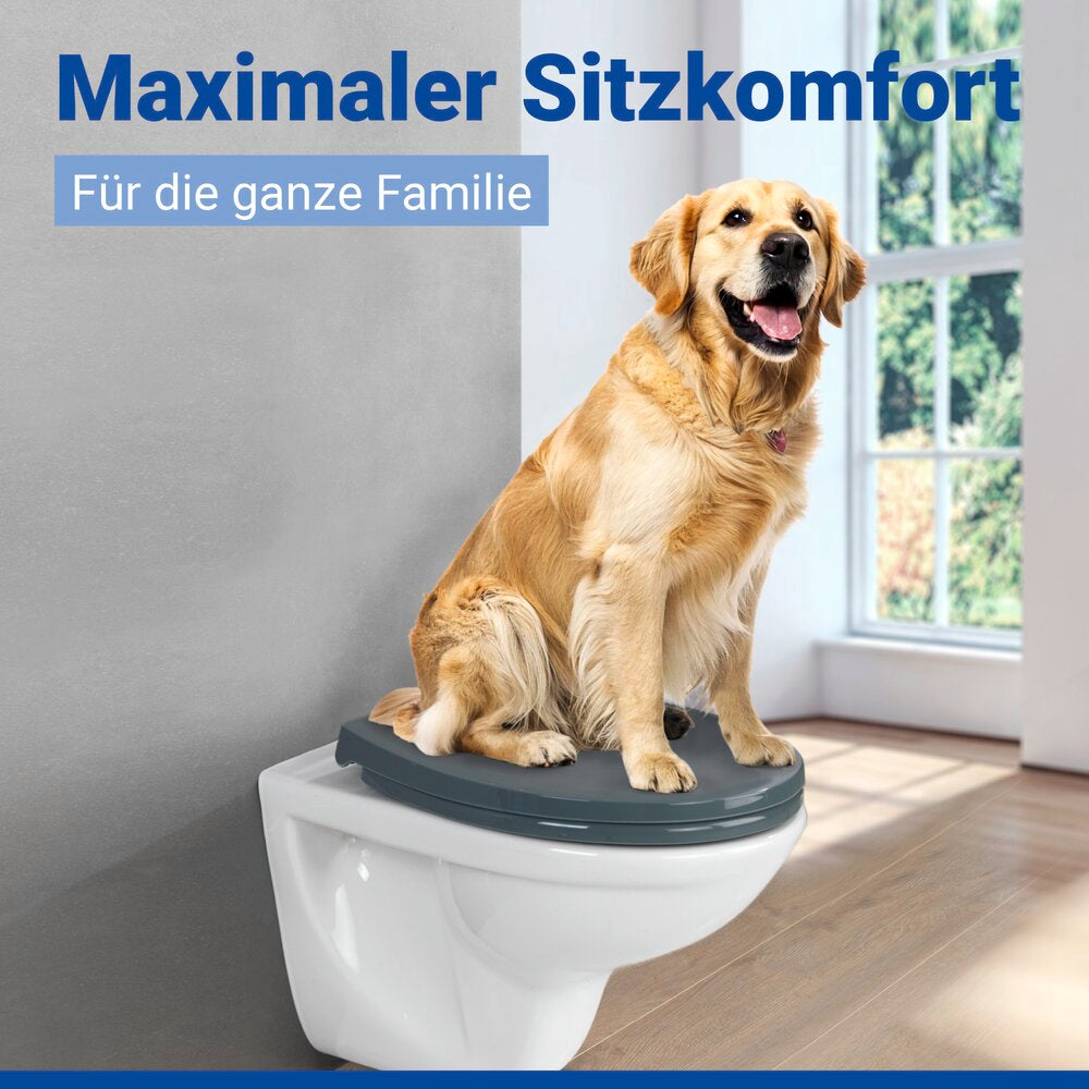 WC Sitz Mod. Ostuni Grau stabiler Toilettensitz mit Absenkautomatik