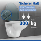 WC Sitz Mod. Ostuni Grau stabiler Toilettensitz mit Absenkautomatik