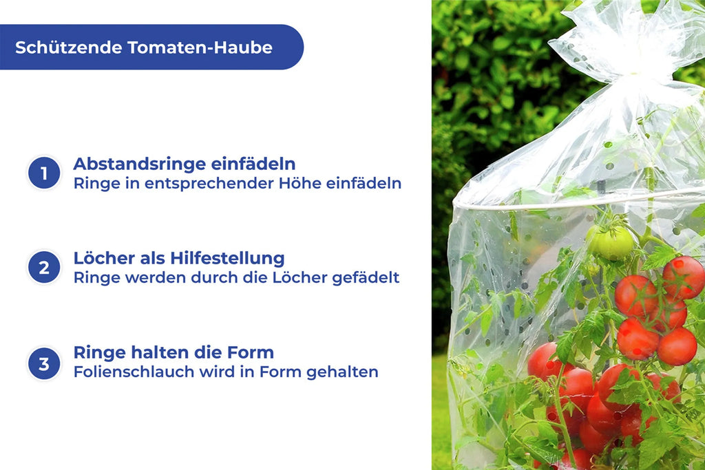 Maximex Tomaten Schutzhauben Reifehaube Tomatenreifung Garten 2-er Set