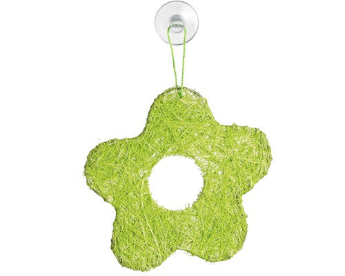 Minisaughaken transparent 6er