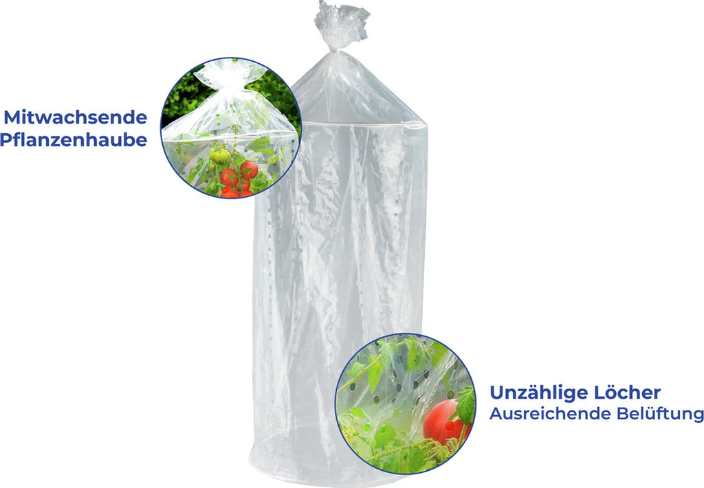 Maximex Tomaten Schutzhauben Reifehaube Tomatenreifung Garten 2-er Set