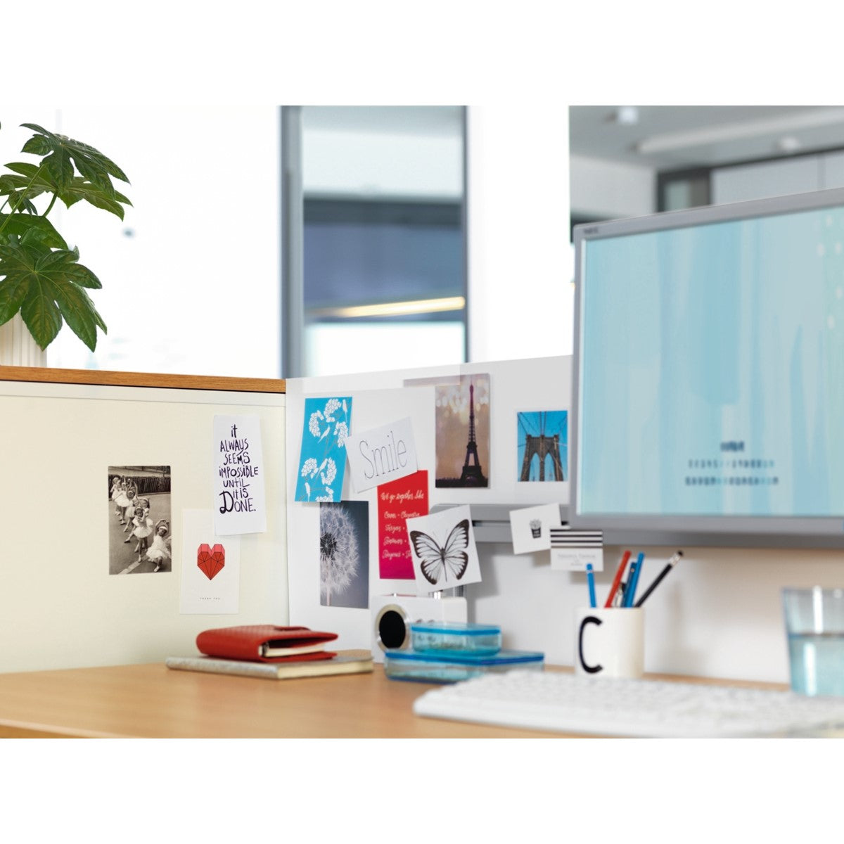 tesa TACK Doppelseitige Klebepads