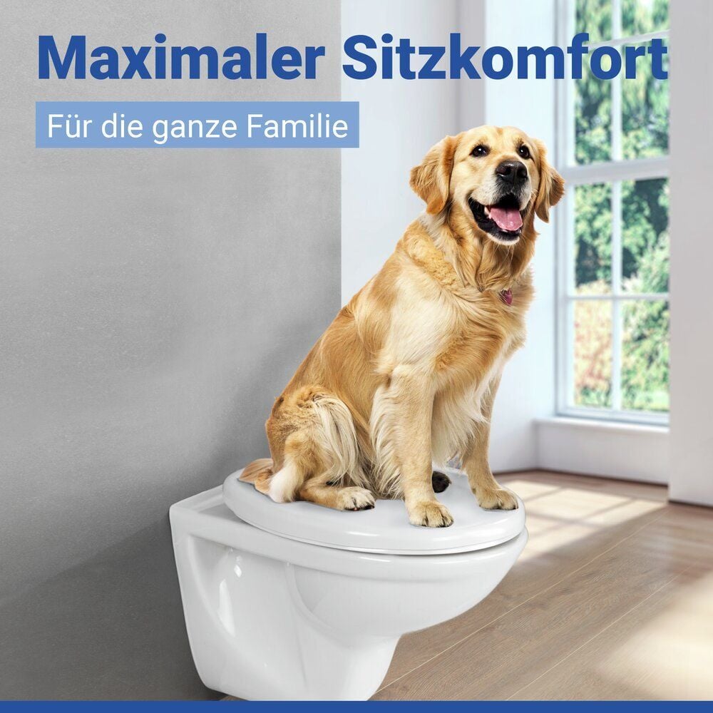 WC Sitz Mod. Muschel, Toilettendeckel mit Absenkautomatik