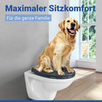 WC Sitz Mod. Samos Grau, Toilettendeckel mit Absenkautomatik